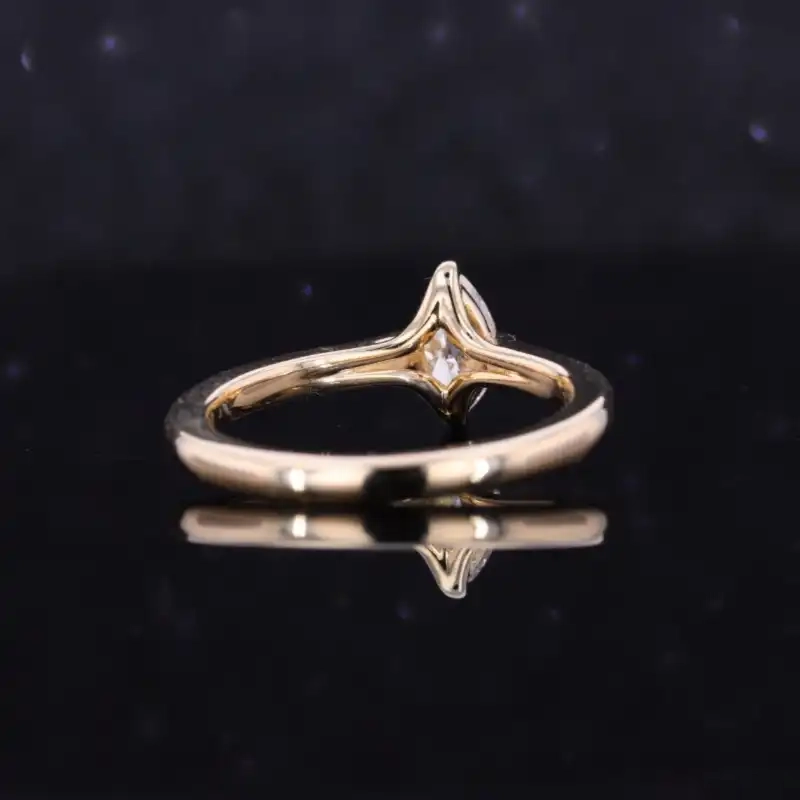 /public/photos/live/11 (2).webp